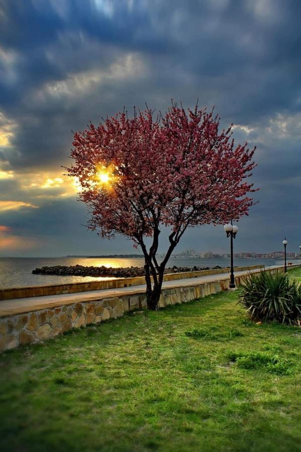 Самостоятелни Стаи На Брега На Морето Pomorie Eksteriør billede