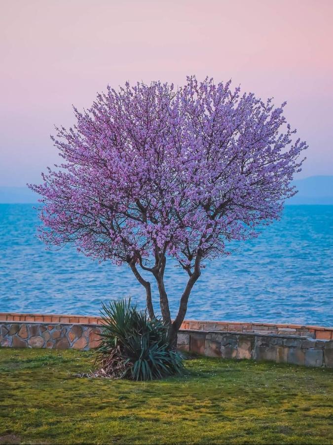 Самостоятелни Стаи На Брега На Морето Pomorie Eksteriør billede
